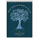 parochet & Torah ark curtains