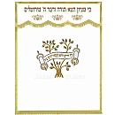 Parochet - White Paroches & Torah ark curtains