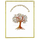 Parochet - White Paroches & Torah ark curtains