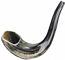 shofar & shofar bags
