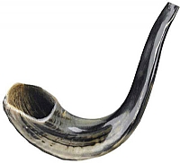 shofar & shofar bags