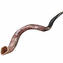 shofars, yemenite shofar & hoders