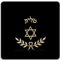 Tallit Bag Gold Star