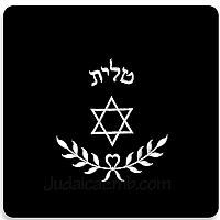 Tallit Bag Silver Star